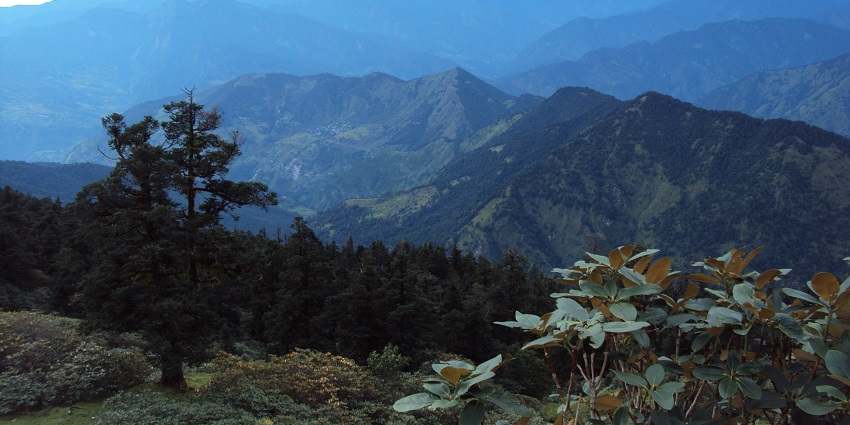 Emphasize the natural beauty, and relaxing ambiance of the mesmerising Chopta Valley.