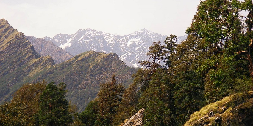 Discover the serene beauty of Chopta, a must-visit for every tourist that comes around it.