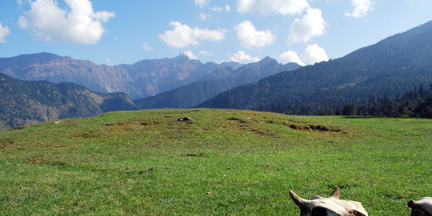 A beautiful picture of Chopta, offering kaleidoscopic views of the Himalayan mountains