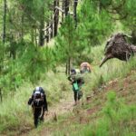 Chopta trekking offers stunning Himalayan views and serene natural magnificence.