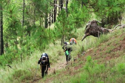 Chopta trekking offers stunning Himalayan views and serene natural magnificence.