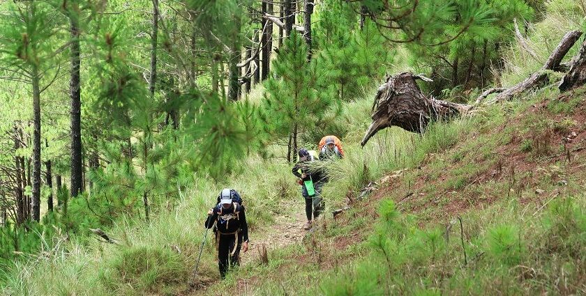 Chopta trekking offers stunning Himalayan views and serene natural magnificence.