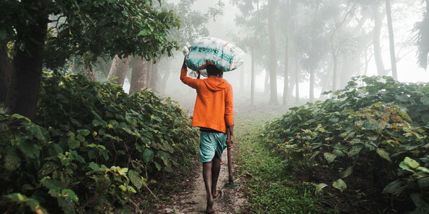 A representative image of a serene City Forest and a must-visited place for nature enthusiasts.