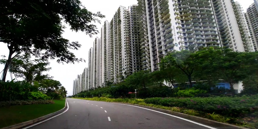 An image of a very peaceful urban forest with walking trails and lush greenery.