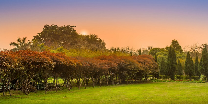 A picture of City Park with lush green vegetation, trees, and a clear sky full of sun rays
