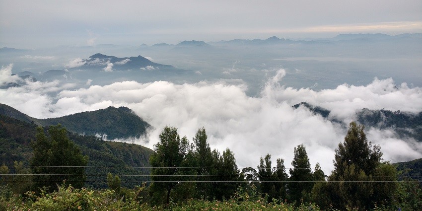 Cloud-covered hills along Coakers Walk, a popular destination near Kodaikanal Wildlife Sanctuary.