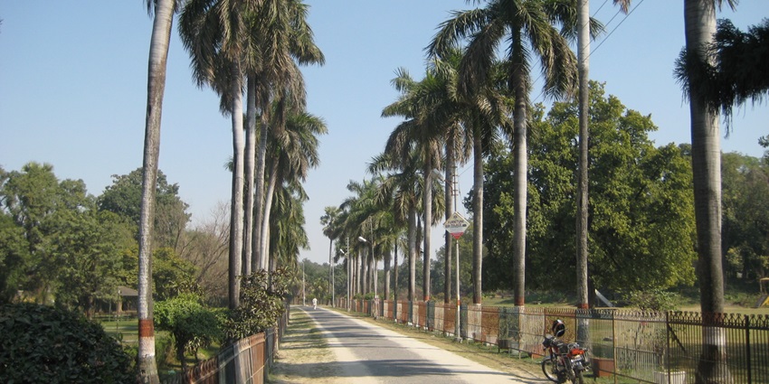 A picture of Company Bagh, a tranquil oasis among places to visit in Saharanpur.