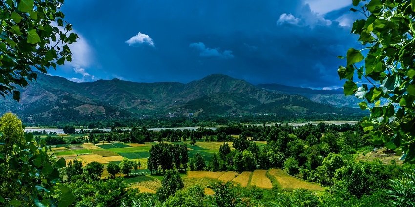 An image of Coonoor showcasing rolling hills, tea gardens, and serene landscapes.