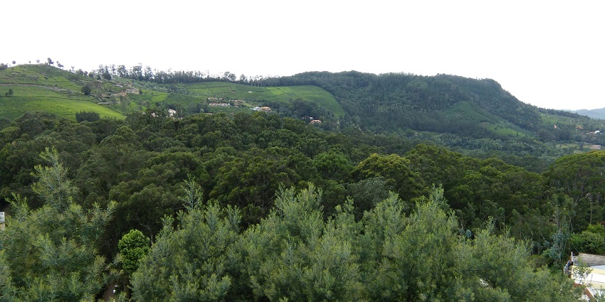 Densely settled Big town of Coonoor, one of the Coimbatore hill stations