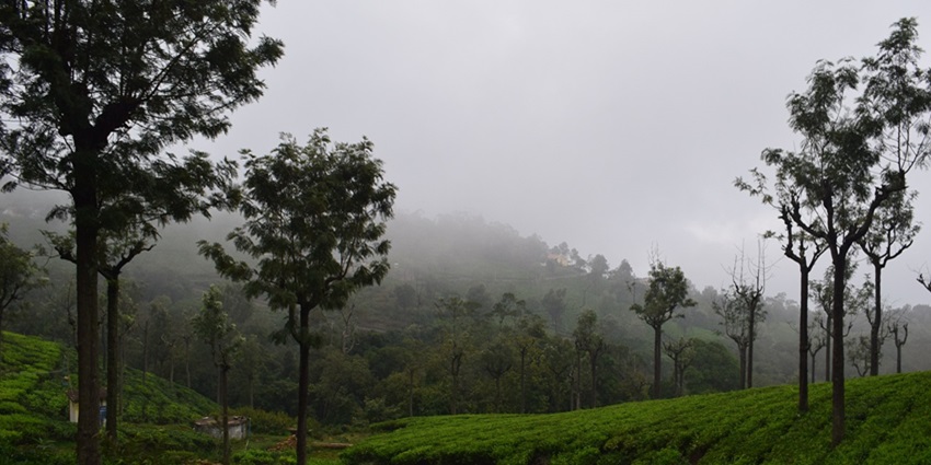 An image showing mountains of Coonoor which is a popular tourist spot located in Tamil Nadu.