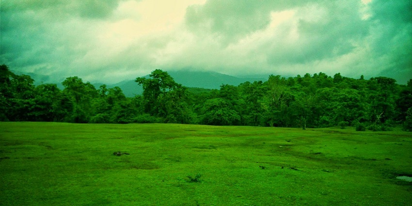Lush greenery in Cotigao, one of the serene places to visit in Goa in April.