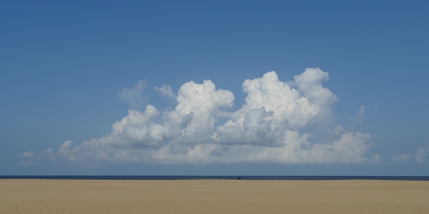 Covelong Beach with a calm sea and a peaceful shoreline stretching into the distance