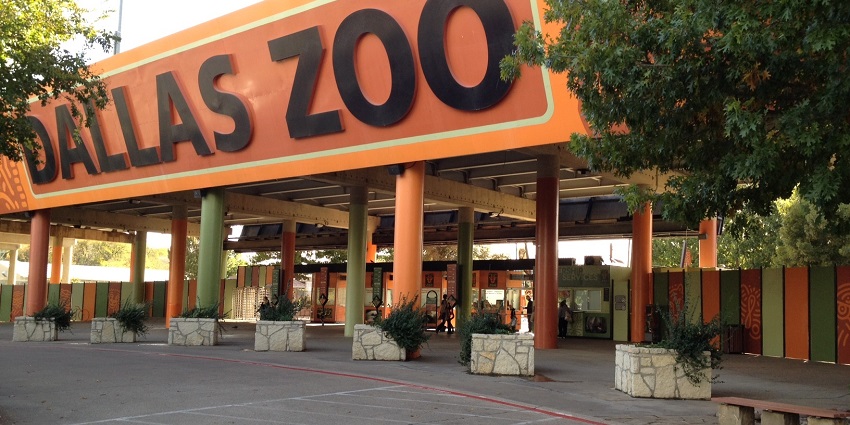The entrance of Dallas Zoo with orange and green pillars and people buying tickets