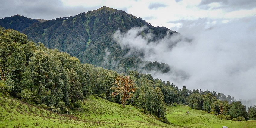 Dayara Bugyal is a beautiful alpine meadows ideal for camping and outdoor activities.