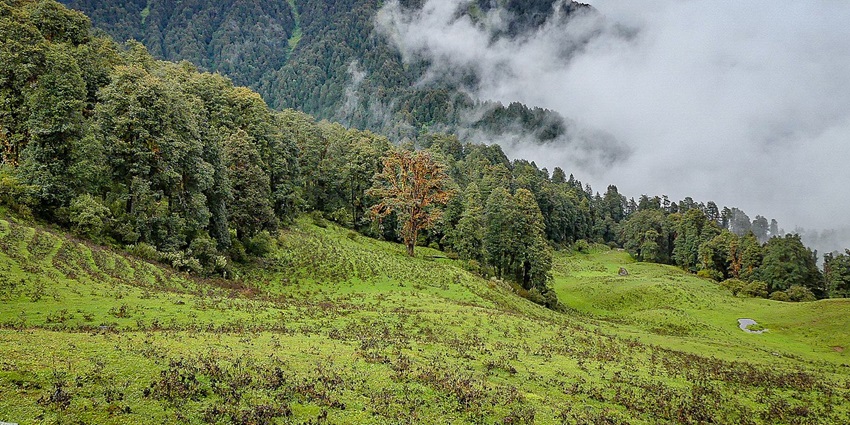 Captivating alpine meadows offering stunning panoramic views and trekking opportunities.
