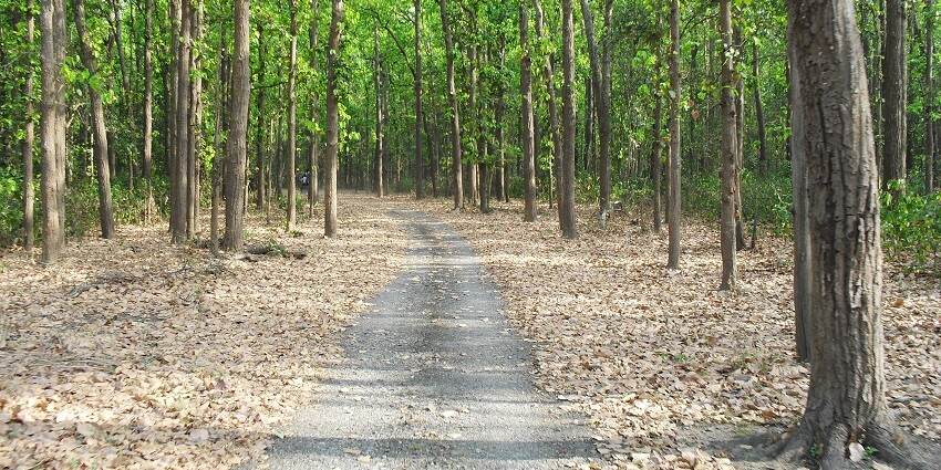 Wildlife sanctuary perfect for exploring diverse flora and fauna.