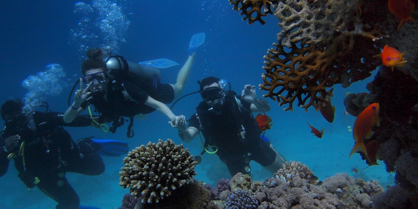An image of Devbagh Beach, one of the best places for scuba diving in Malvan