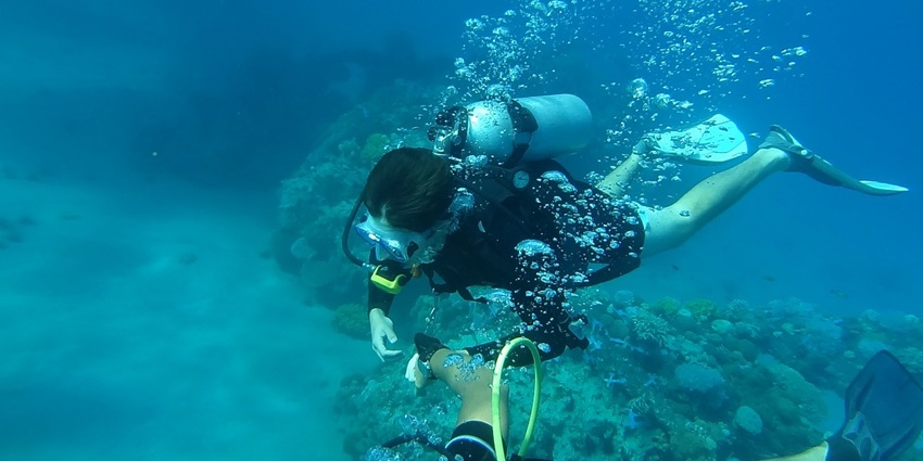 An image of scuba diver surrounded by vibrant coral reefs underwater