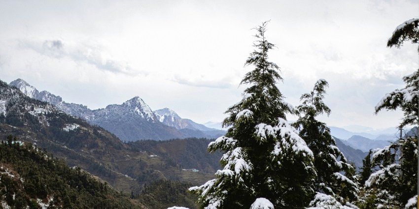 Quaint hill station featuring lush forests and peaceful ambiance at dhanaulti, uttarakhand