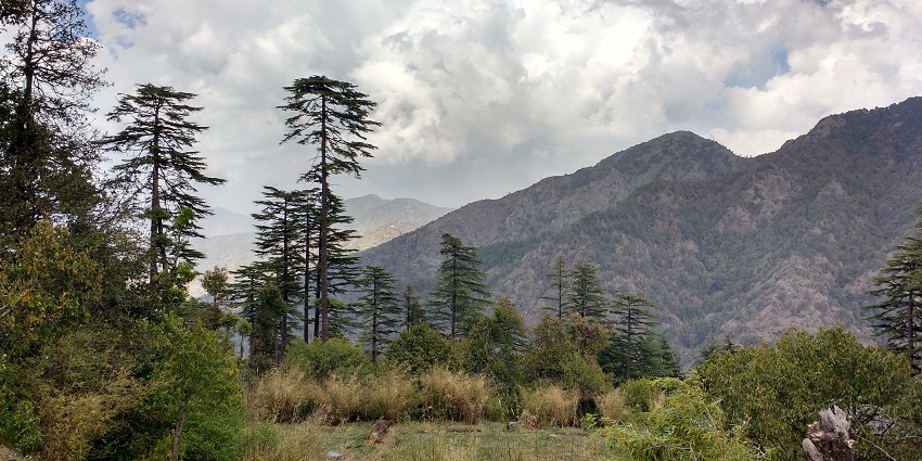 Forest trails at Dhanaulti, one of the underrated hill stations near Dehradun