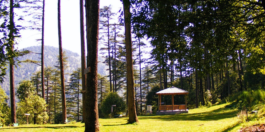 Eco Park in Dhanaulti, one of the less crowded hill stations in Uttarakhand.