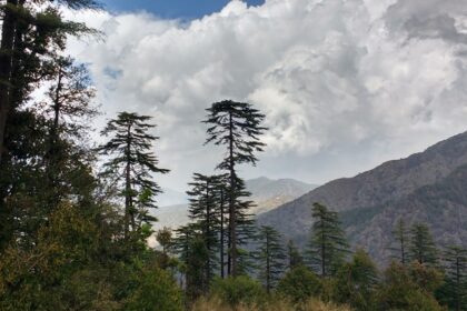 Things to do in Dhanaulti include adventure and exploring historical sites.