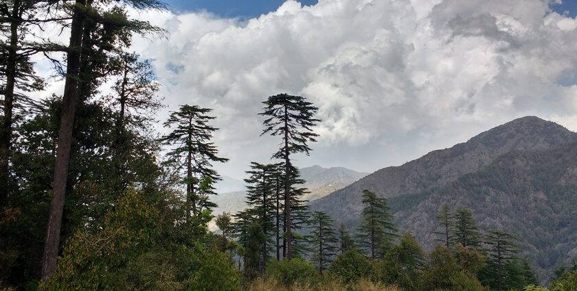 Things to do in Dhanaulti include adventure and exploring historical sites.