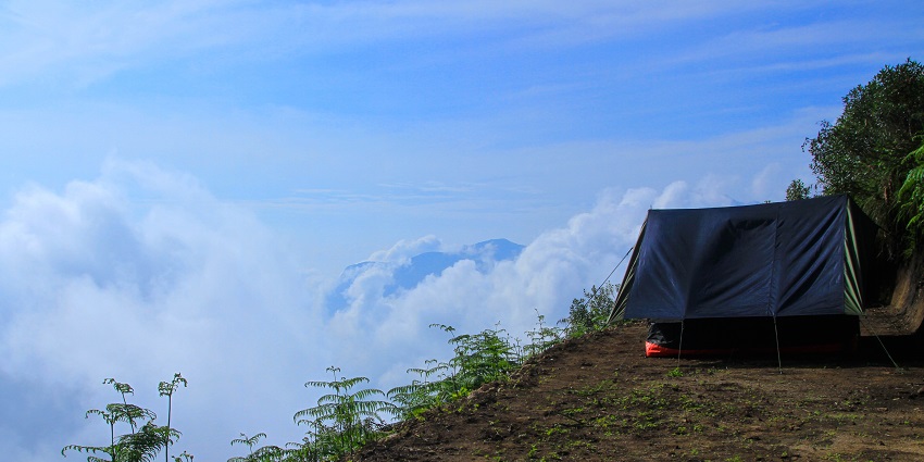 Camping in Dhanaulti featuring cosy accommodations and adventure activities.