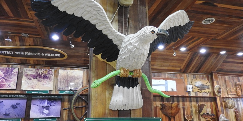 Museum showcasing Corbett's wildlife, history, and conservation efforts at uttarakhand.