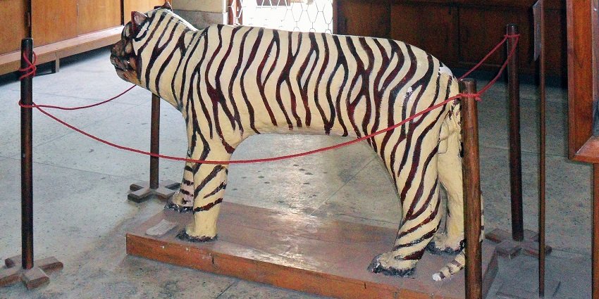 Dhangarhi Museum is one of the most amazing tourist attractions for travellers.
