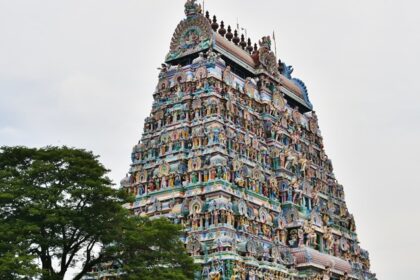 Dhenupureeswarar Temple with intricate carvings on its pillars and detailed architecture.