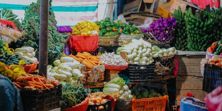 Assorted fresh vegetables like carrots, tomatoes, and cucumbers in crates