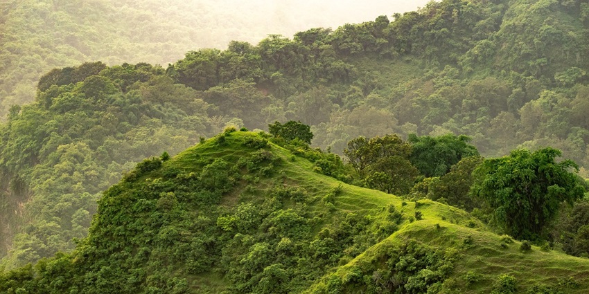 Enjoy nature's beauty in Kanatal, a major attraction.