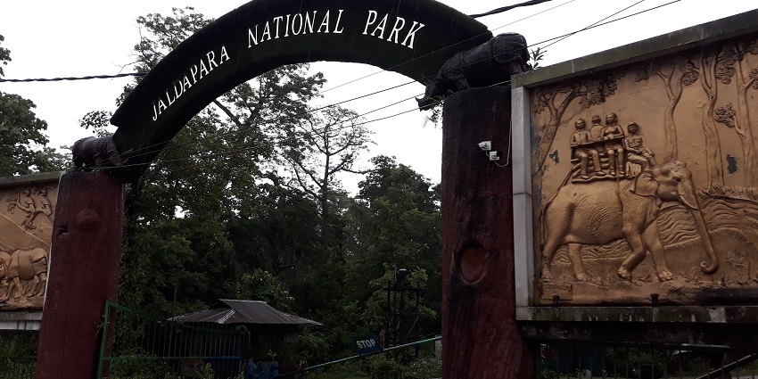 Spot wildlife in Jaldapara, a thrilling spot, famous for the Indian one-horned rhinoceros population.