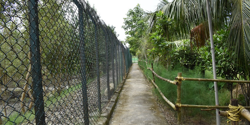 Beautiful view of Dobanki, a place to visit in Sundarban in the beautiful state of West Bengal.
