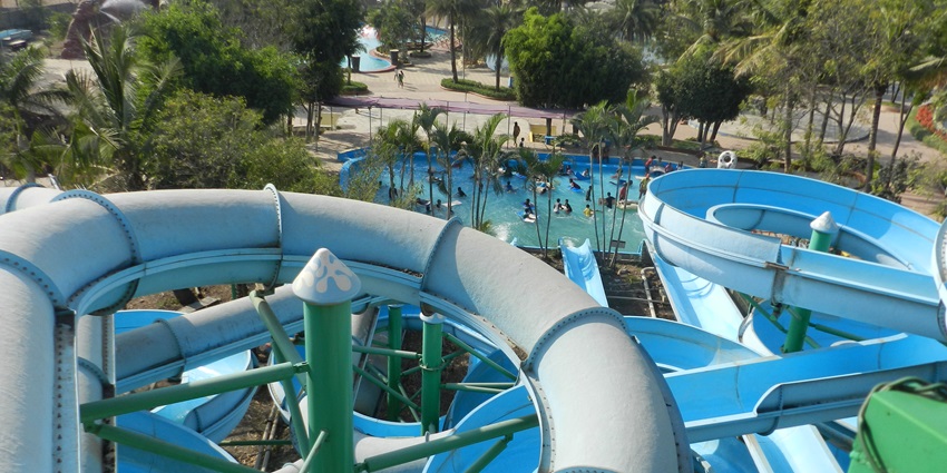 Curving blue water slides overlook a palm-lined pool with visitors enjoying a sunny day.