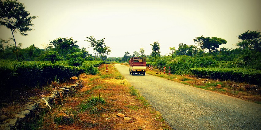 Dooars has scenic landscapes, one of the best places to visit in West Bengal in winter.
