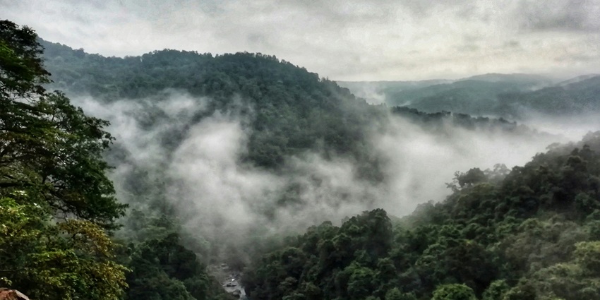 A glimpse of the Dudhsagar Waterfalls, one of the best places to visit in Goa in April.