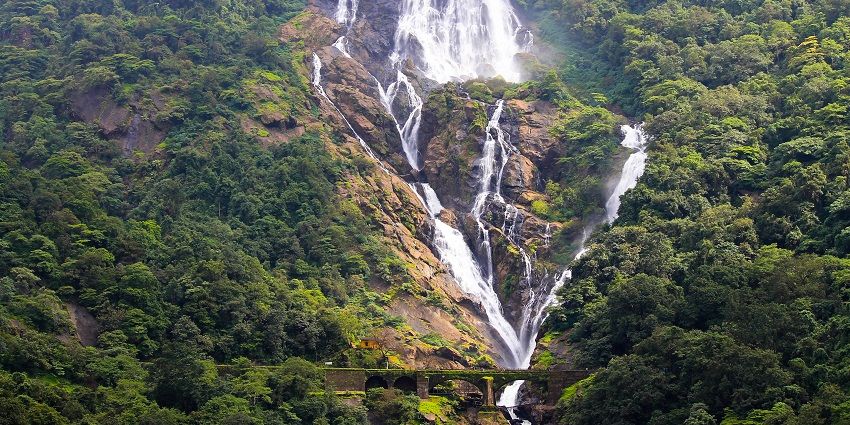 Dudhsagar Waterfalls is the tallest waterfall in India reaching up to 310 metres height.