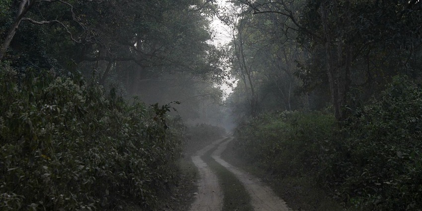 Nature trail in Dudhwa while camping in the trails of Uttar Pradesh