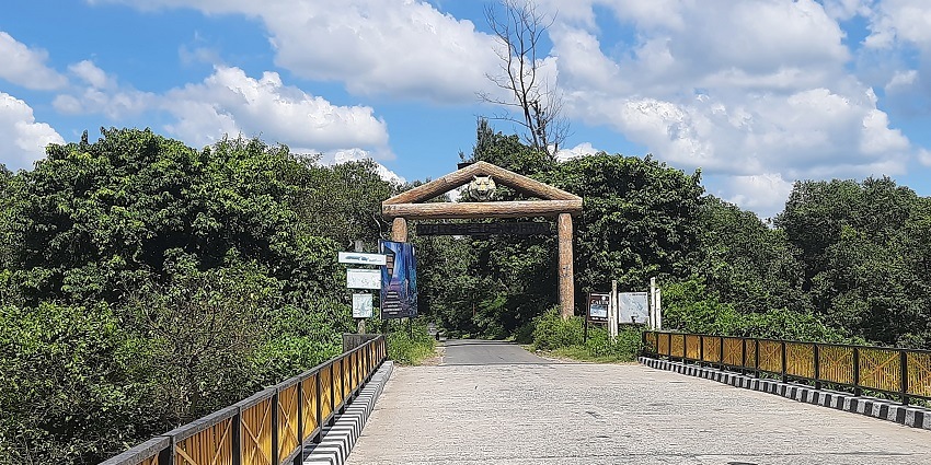 A picture of Dudhwa National Park, one of the best places to visit in Uttar Pradesh.
