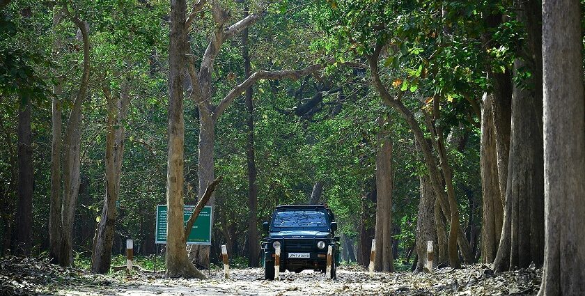 A serene landscape showcasing lush green vegetation and wildlife in Uttar Pradesh.