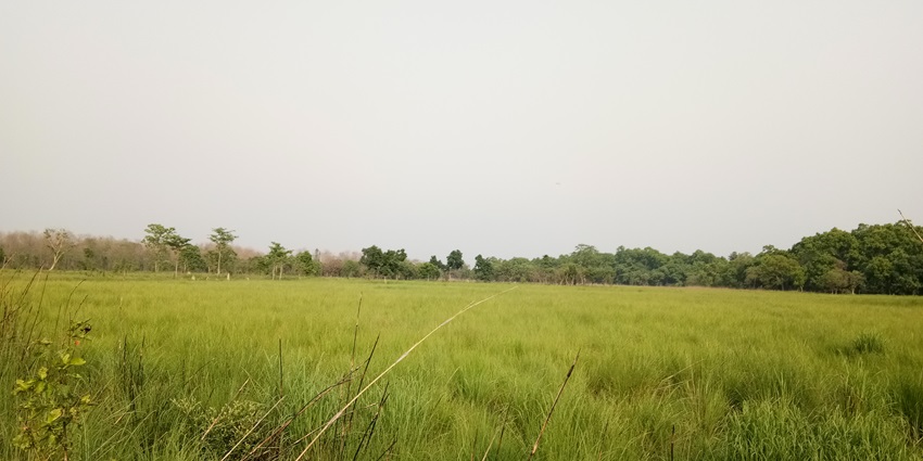 Dudhwa National Park in Uttar Pradesh, is amongst the best places to explore for visitors.