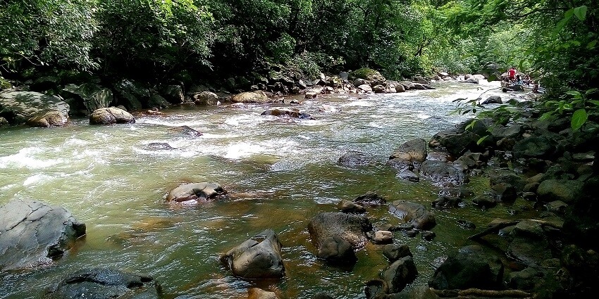 Dugarwadi Waterfall in Maharashtra, surrounded by dense forest and lush greenery