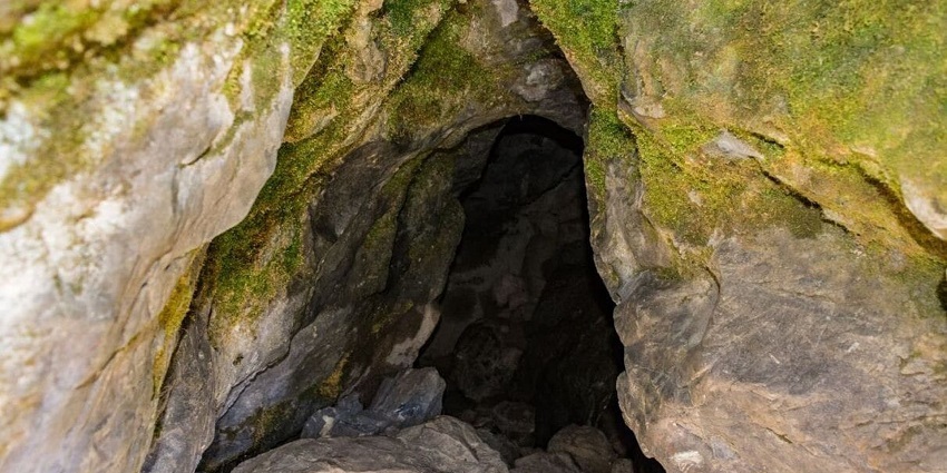 An image of an unique caves and gardens, ideal for adventurous exploration and fun.