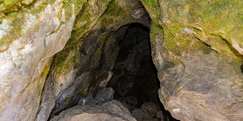 Family-friendly park with fun caves and natural attractions for every traveller.