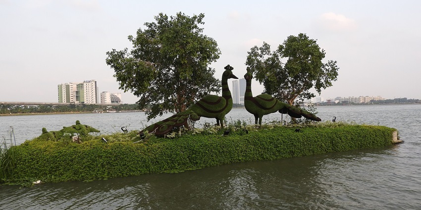 A view of two decorative peacocks at a place to visit in Kolkata for couples.