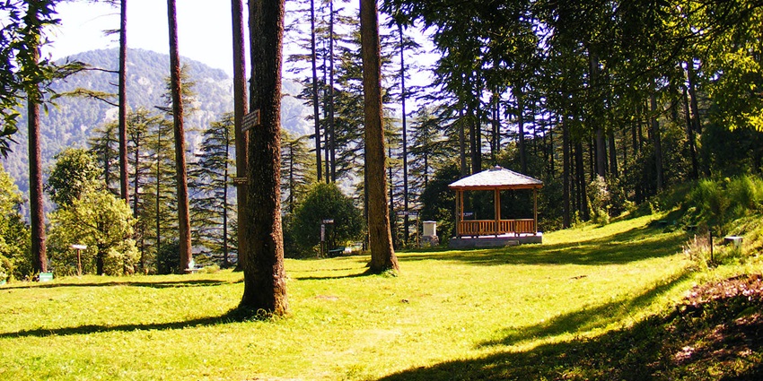 Things to do in Dhanaulti include visiting the park featuring walking trails and lush greenery.
