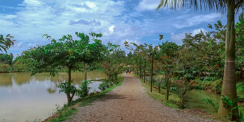 One of the amazing things to do in Dhanaulti in December is exploring the Eco Park.