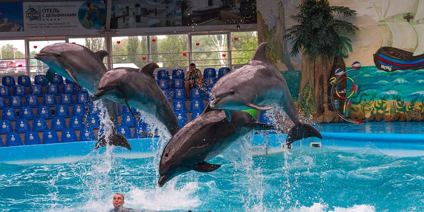 An image of the Water World, that offers some of the best things to do in Agra.